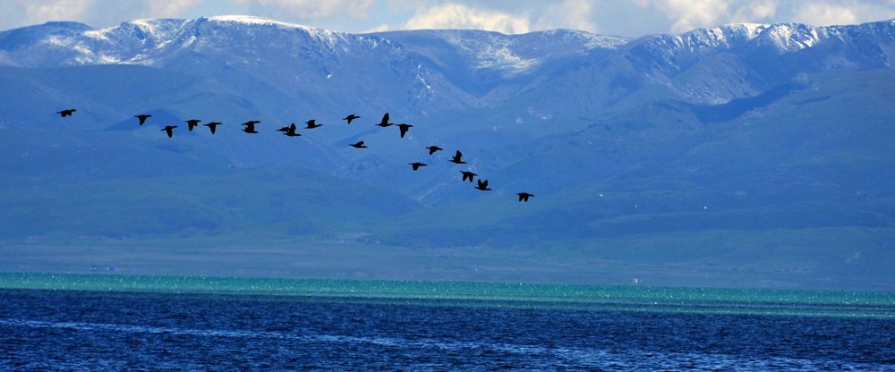 青海湖
