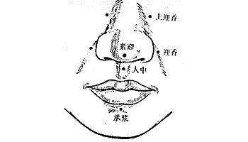 素髎穴