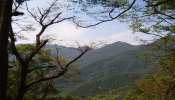 栖息的自然保护区,坐落在秦岭与岷山山脉之间,陕西汉中市 青木川镇