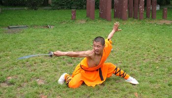 嵩山少林武术职业学院