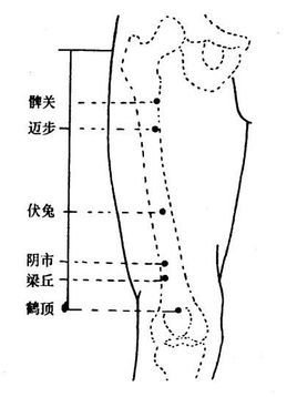 髀关