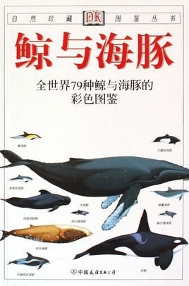 鲸与海豚