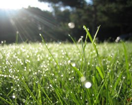 太阳雨_360百科