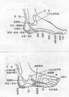 初学者压脚背方法图解