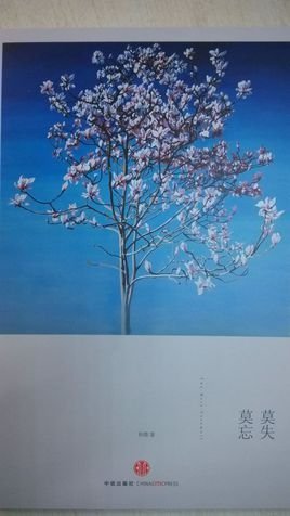 莫失莫忘吉他谱简单版