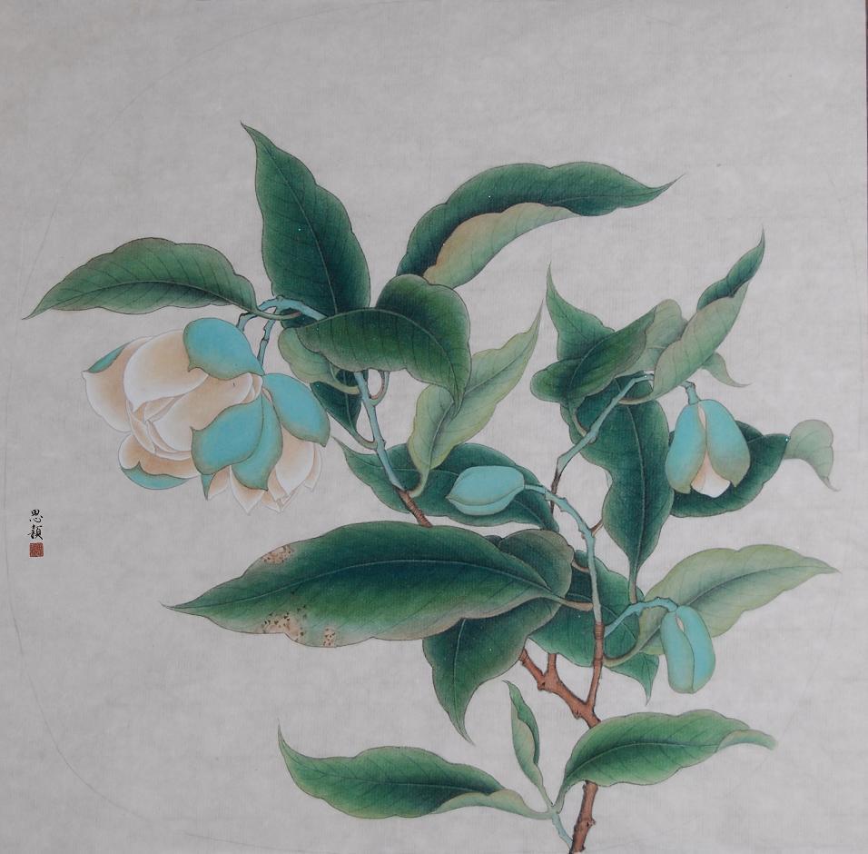 白山茶_白山茶简谱