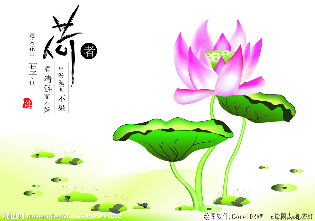 荷塘月色