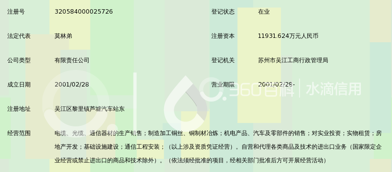 永鼎集团有限公司_360百科