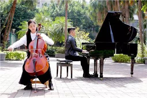 大提琴家_大提琴家收入