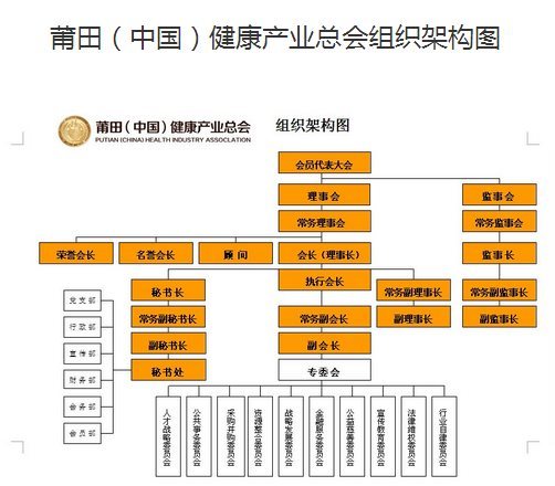 组织架构