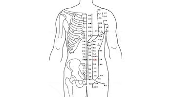 基本概述 脏腑之气汇聚于胸腹部的腧穴,称为"募穴(front mu point)