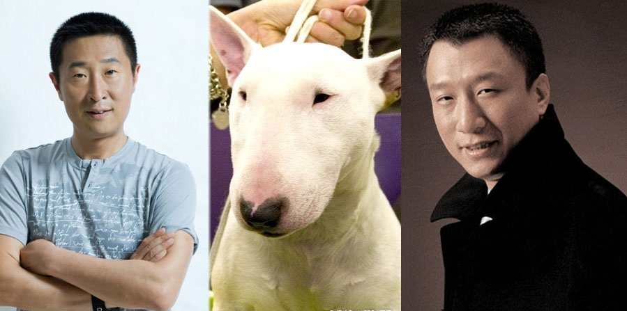 吴珊卓vs林永健 虽然一只牛头梗, 把林永健和孙红雷牢牢的绑在了移痧